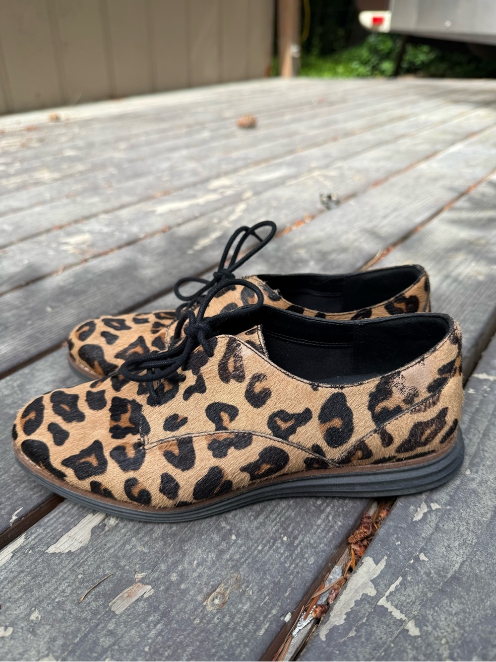 Cole Haan OriginalGrand Leopard Oxfords